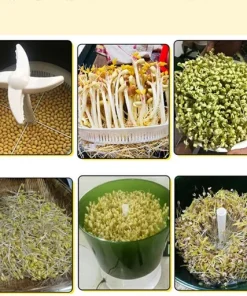 Automatic Sprouter Machine