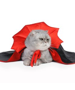 Vampire Cat Halloween Costume