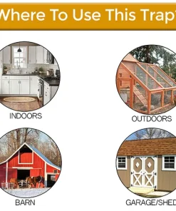 Flip N Slide Bucket Lid Mouse Trap