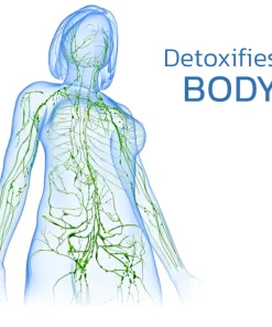 EMS Neck Acupoints Lymphvity Massager Device