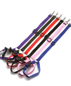 Explosive Pet Car Rear Seat Ring Safety Rope