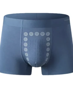 Sfrcord® Ion Ice Silk Men's Functional Briefs