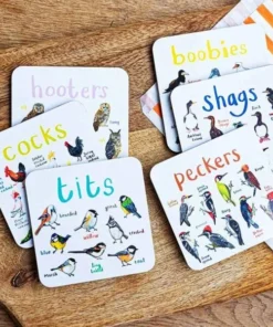 Set Of 6 Bird Pun Coasters