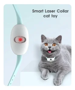 Electric Smart Amusing Collar for Kitten