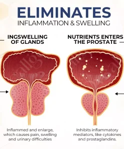 Oveallgo™ BeeTherapie Treatment Oil For Prostate Wellness