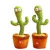 Cactus Toy