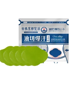 Oveallgo™ Japan Infrared Suana Therapy Wintergreen Detox Patch