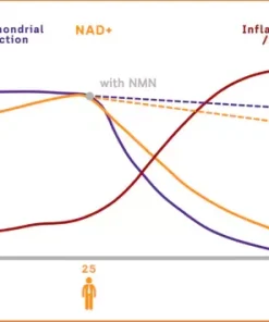 𝐋𝐞𝐧𝐫𝐞𝐞𝐲®𝐁𝐞𝐞 𝐕𝐞𝐧𝐨𝐦 𝐍𝐌𝐍 𝐍𝐚𝐭𝐮𝐫𝐚𝐥 𝐑𝐞𝐩𝐚𝐢𝐫 𝐕𝐚𝐠𝐢𝐧𝐚𝐥 𝐂𝐚𝐩𝐬𝐮𝐥𝐞𝐬