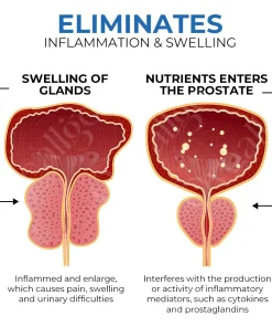 Oveallgo™ BeeStrong Advanced Prostate Care Nasal Therapy Inhaler