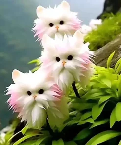 GFOUK™ Dazzle Flower Seeds