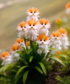 GFOUK™ Dazzle Flower Seeds