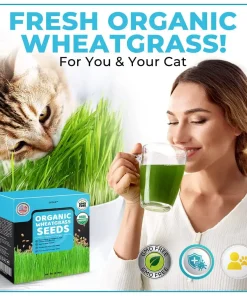 GFOUK™ Organic Wheatgrass Seeds