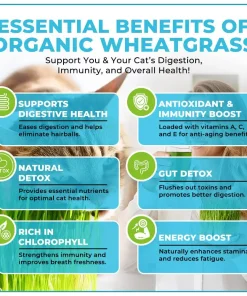 GFOUK™ Organic Wheatgrass Seeds