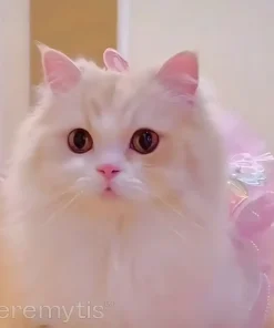 Jeremytis™ TOBY the Robot Dog LUNA the Robot Cat