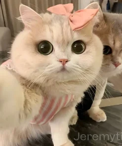 Jeremytis™ TOBY the Robot Dog LUNA the Robot Cat