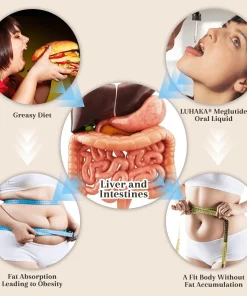 LYYETO® 𝐆𝐋𝐏-𝟏 𝐌𝐨𝐫𝐢𝐧𝐠𝐚 𝐒𝐥𝐢𝐦𝐦𝐢𝐧𝐠 & 𝐇𝐞𝐚𝐥𝐭𝐡 𝐁𝐨𝐨𝐬𝐭 𝐃𝐫𝐨𝐩𝐬