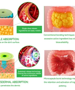 𝐁𝐨𝒔𝒕𝗼𝗿𝗲® 𝐺𝑳𝐏 -1 𝐌𝐢𝐜𝒓𝒐𝒄𝒂𝒑𝘀𝘂𝗹𝗲 𝗕𝘂𝗿𝐬𝐭 𝑷𝒂𝙩𝙘𝙝