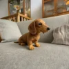 Daichy™ - Plush Toy, Your Forever Warm Companion