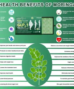 DiSyan® 𝐺𝐿𝑃-1 𝑆𝑙𝑖𝑚𝑚𝑖𝑛𝑔 & 𝐻𝑒𝑎𝑙𝑡ℎ 𝑁𝑎𝑠𝑎𝑙 𝑅𝑖𝑛𝑔