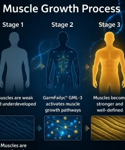 𝐆𝐚𝐫𝐦𝐅𝐚𝐢𝐥𝐲𝐜® 𝐆𝐌𝐋-𝟑 𝑺𝒊𝒙-𝒊𝒏-𝑶𝒏𝒆 𝑴𝒖𝒔𝒄𝒍𝒆 𝑮𝒓𝒐𝒘𝒕𝒉 𝑶𝒓𝒂𝒍 𝑺𝒐𝒍𝒖𝒕𝒊𝒐𝒏