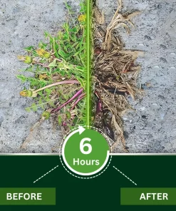 Piguiay® 2 in 1 Max Power Herbicide