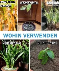 AAFQ® GrowBack Miracle Tonic