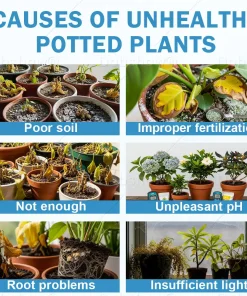 AAFQ® GrowBack Miracle Tonic