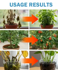 AAFQ® GrowBack Miracle Tonic