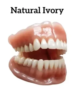 Advanced Customized Full Denture Set