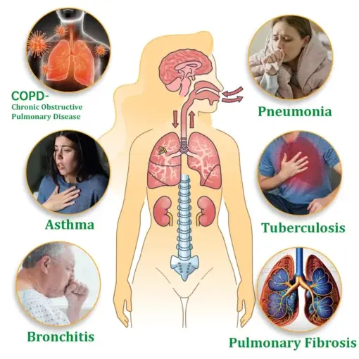 Herbal Lung Cleansing Inhaler