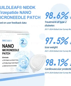 Nano-Microneedle Patch