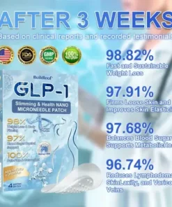 𝐒limming & 𝐻ealth 𝑁ano 𝑀icroneedle 𝑃atch