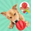 HappyPet™ Interactive Chew Toy