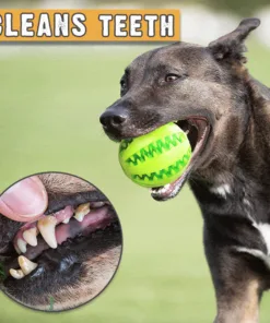 HappyPet™ Interactive Chew Toy