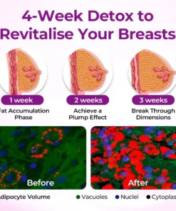 Skavix™ MaxCurve Sculpting & Volumizing Bust Oil