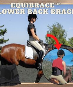 EquiBrace Lower Back Brace