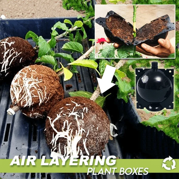 Air Layering Plant Boxes 3PCS