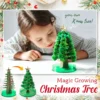 Magic Growing Christmas Tree