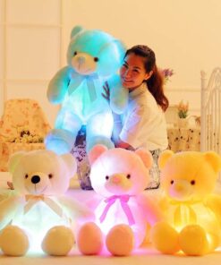 LED Light Up Teddy Bear