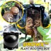 GrowX Plant Rooting Box
