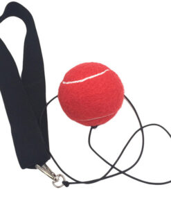 Boxing Speed Reflex Ball