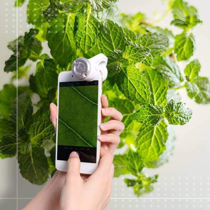 LED Mobile Phone Microscope - Image 2