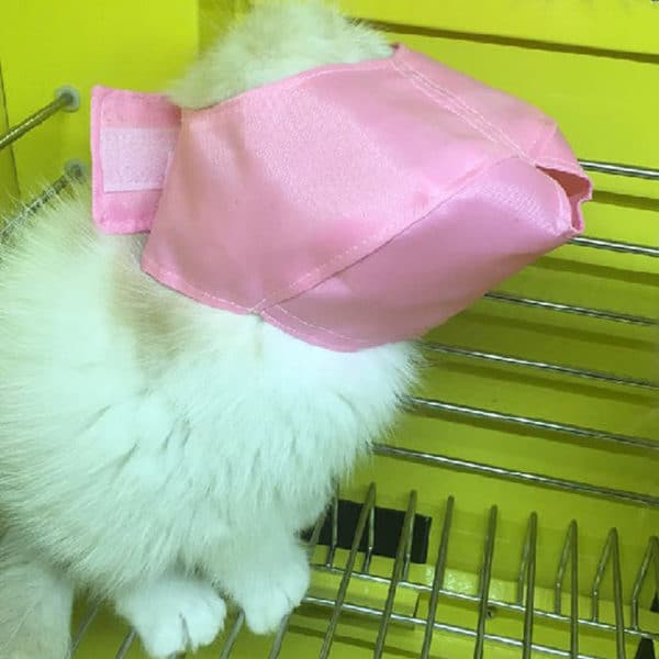 Calming Breathable Soft Cat Muzzle - Image 2