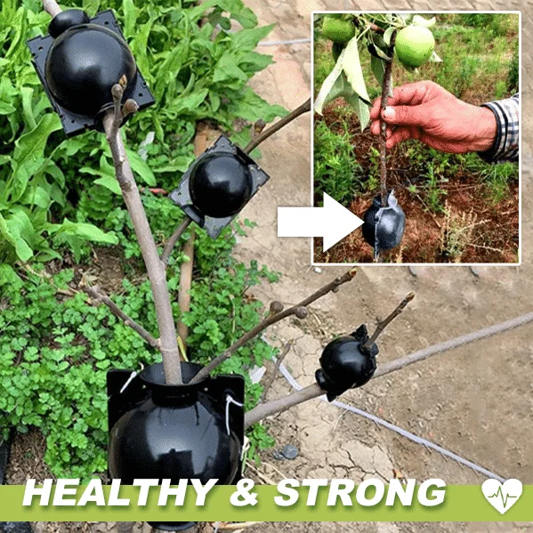 Air Layering Plant Boxes 3PCS - Image 2