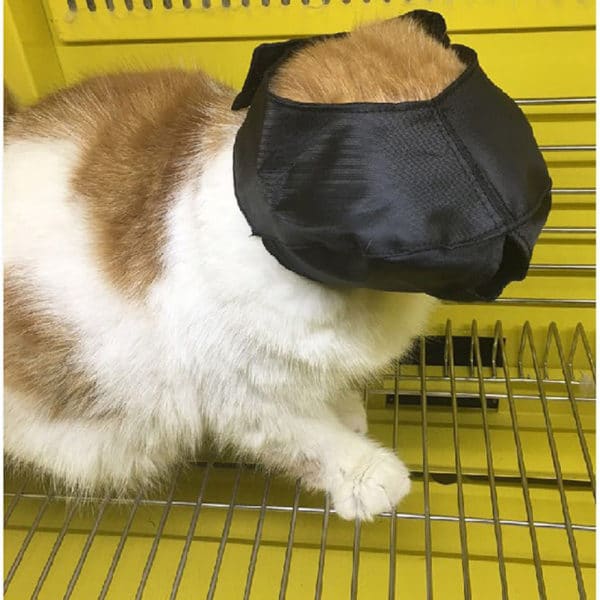 Calming Breathable Soft Cat Muzzle - Image 4