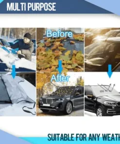 ReGrowth Ginger Spray