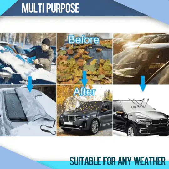 ReGrowth Ginger Spray