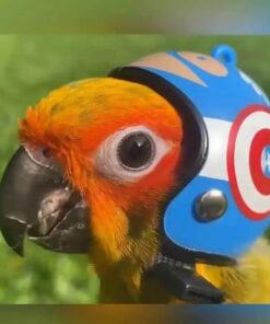 AdorBird Bird Helmet (3PCS)