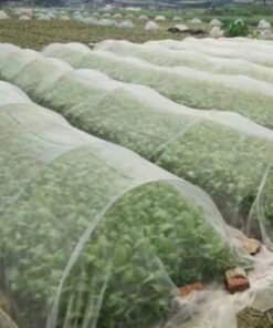 Barrier Pest Control