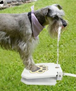 Automatic Water Fountain For Dogs
